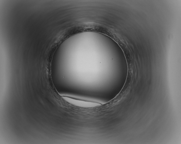 X0000114220916200910161304