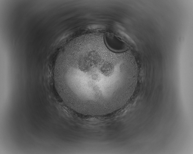 X0000114220917200910161304