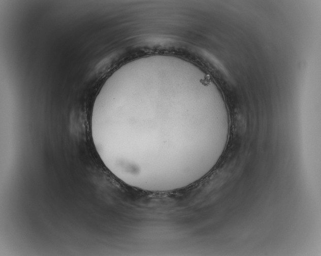 X0000114220918200910161304