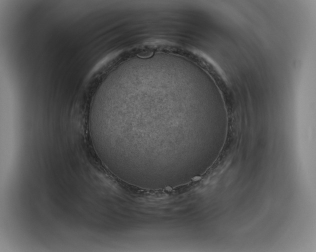 X0000114220919200910161304