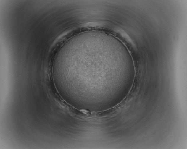 X0000114220920200910161304