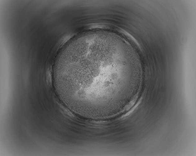 X0000114220921200910161304