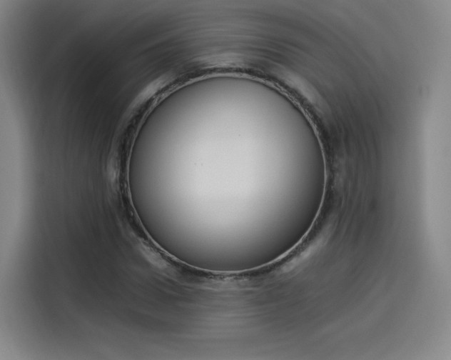 X0000114220922200910161304