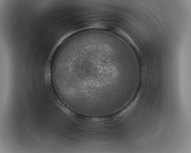 X0000114220923200910161304