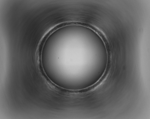 X0000114220925200910161304