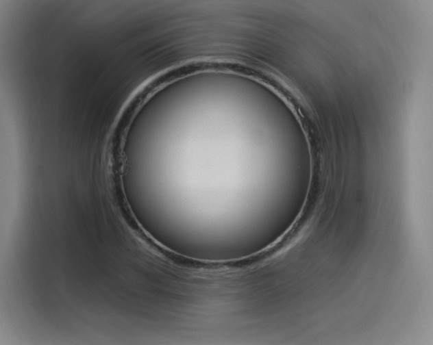 X0000114220926200910161304