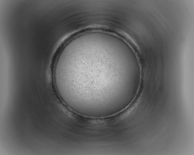 X0000114220927200910161304