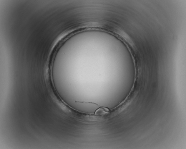 X0000114220928200910161304