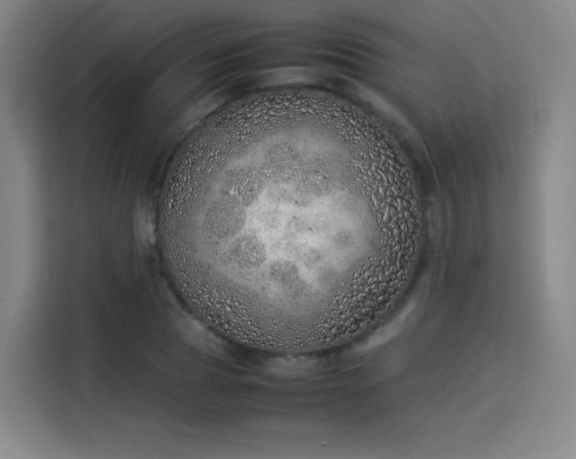 X0000114220929200910161304