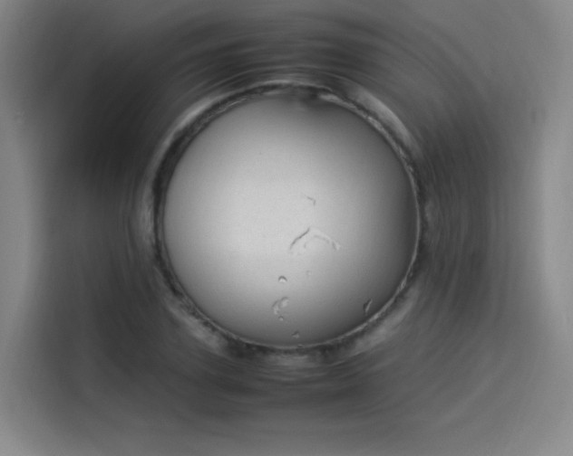 X0000114220931200910161304