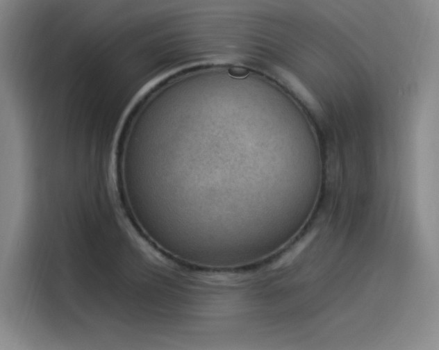 X0000114220932200910161304