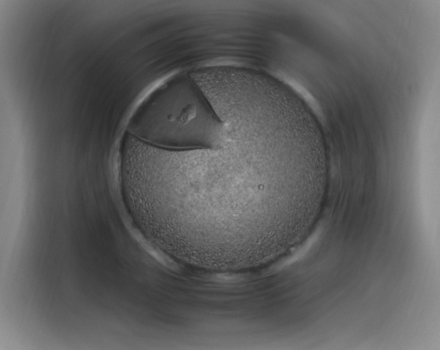 X0000114220933200910161304