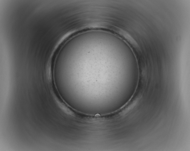 X0000114220934200910161304