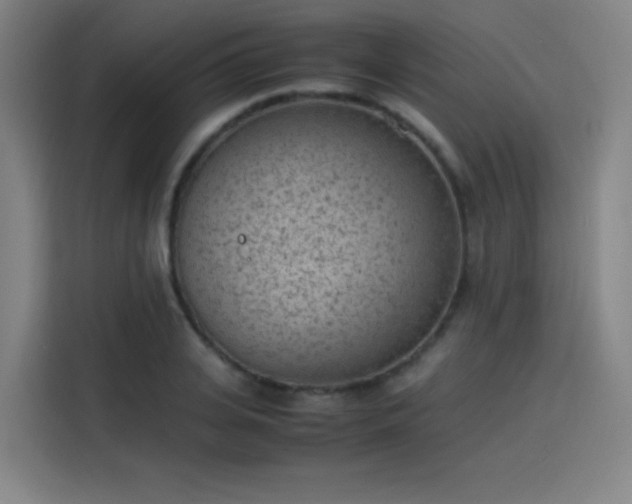 X0000114220935200910161304