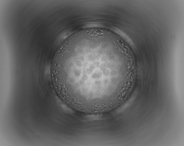 X0000114220937200910161304