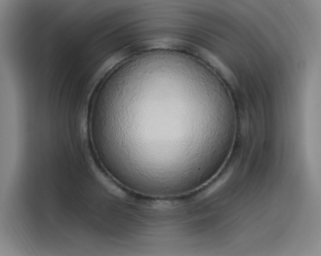 X0000114220938200910161305