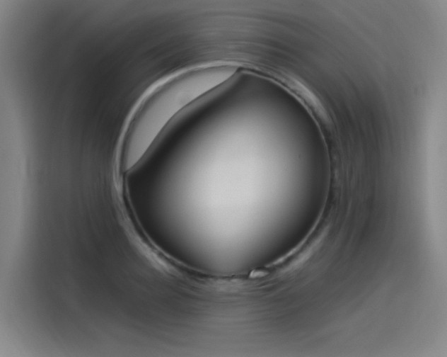 X0000114220940200910161305