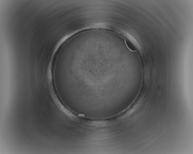 X0000114220944200910161305