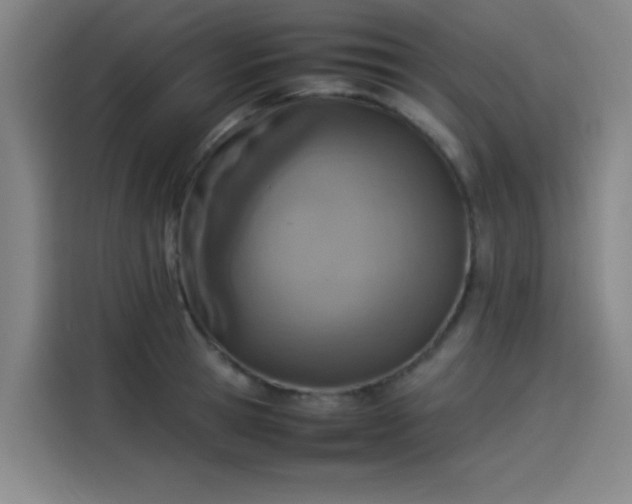 X0000114220945200910161305