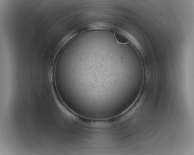 X0000114220946200910161305