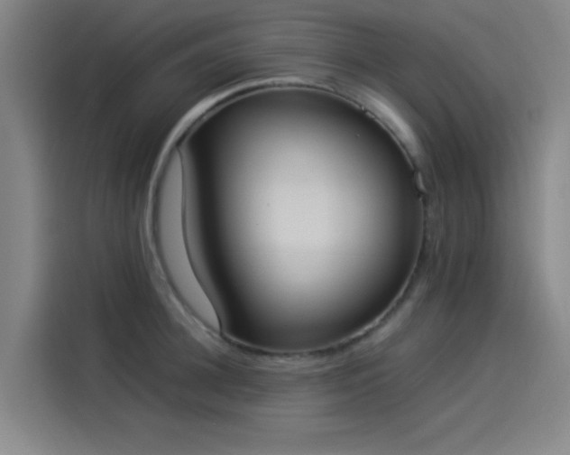 X0000114220948200910161305