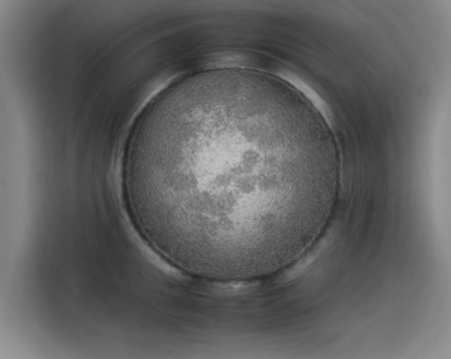 X0000114220949200910161305