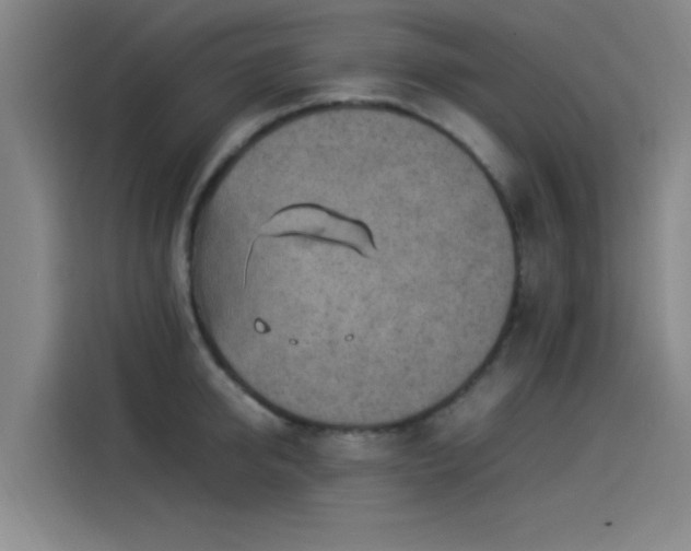 X0000114220950200910161305