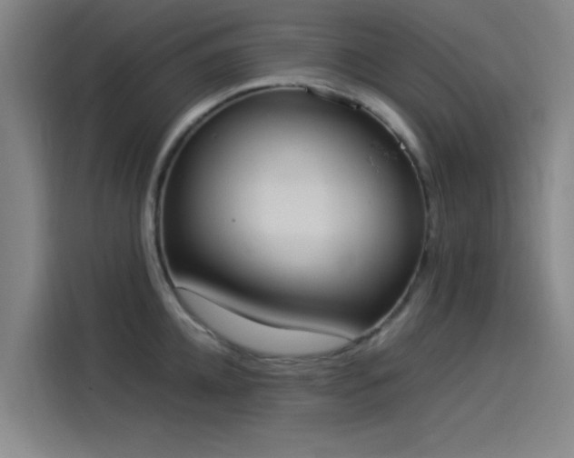 X0000114220952200910161305