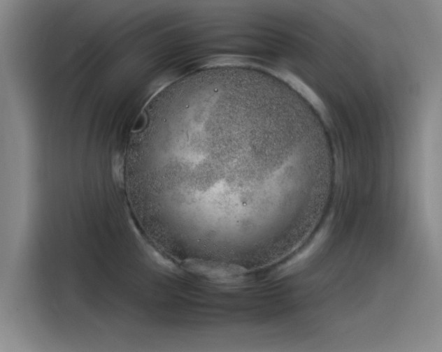 X0000114220953200910161305