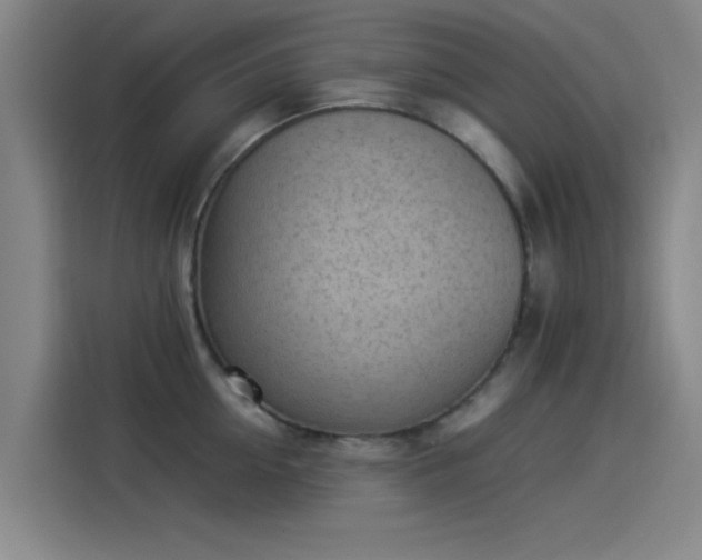 X0000114220954200910161305