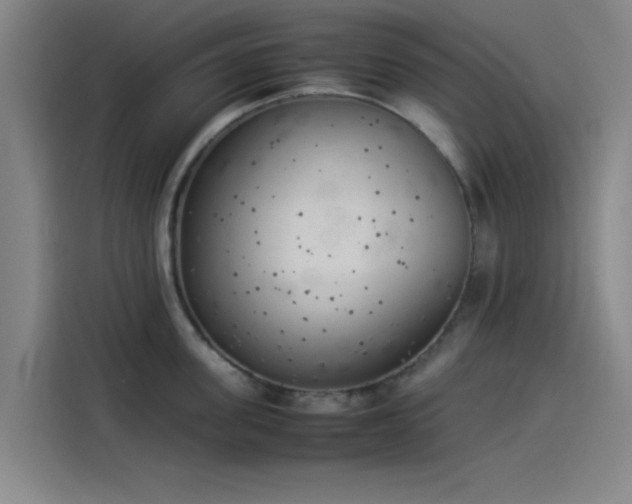 X0000114220955200910161305