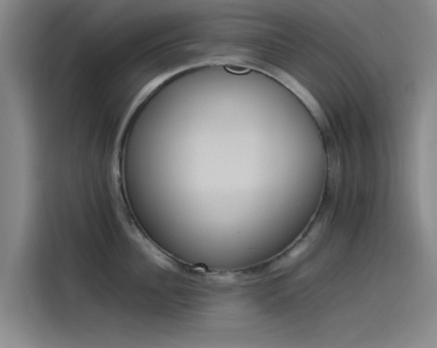 X0000114220956200910161305