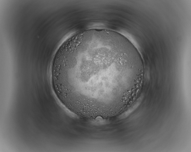 X0000114220957200910161305