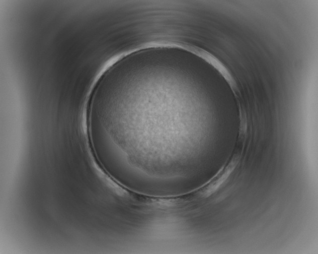 X0000114220958200910161305