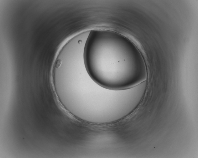 X0000114220960200910161305