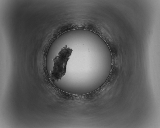 X0000114220961200910161304