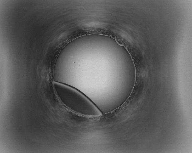 X0000114220965200910161304