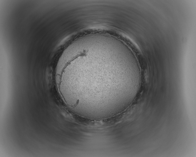 X0000114220968200910161304