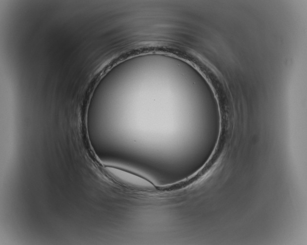 X0000114220969200910161304