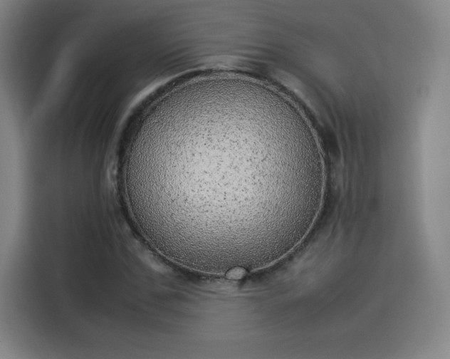 X0000114220971200910161304