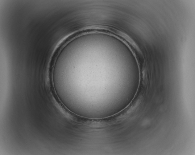 X0000114220972200910161304