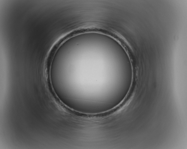 X0000114220973200910161304