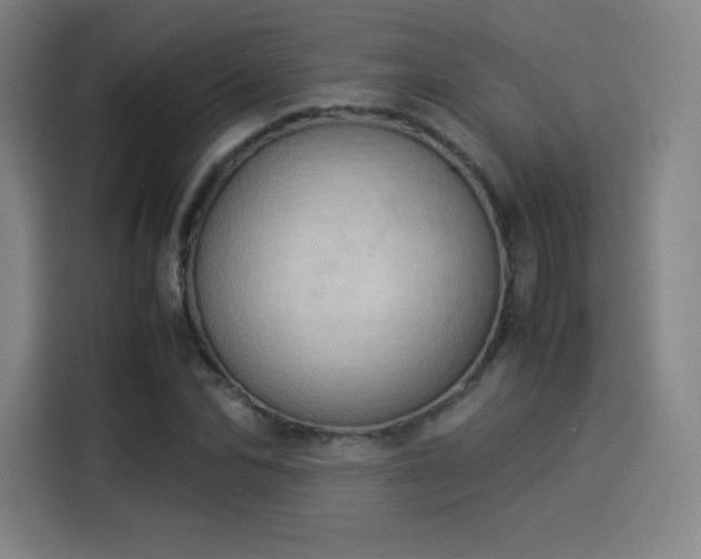 X0000114220974200910161304