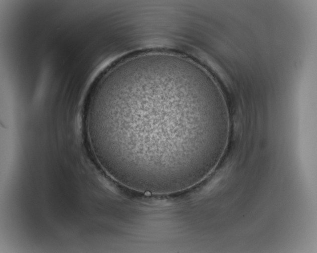 X0000114220975200910161304