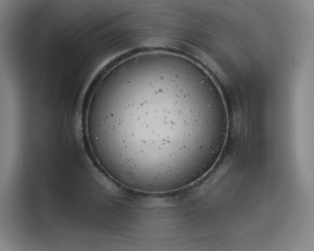 X0000114220976200910161304