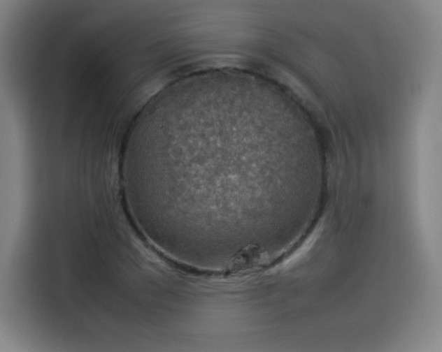 X0000114220977200910161304