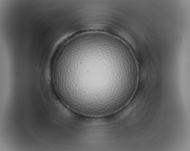 X0000114220979200910161304