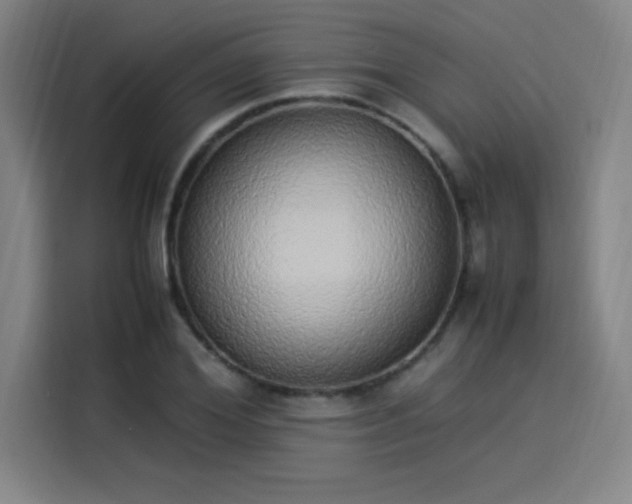 X0000114220980200910161304