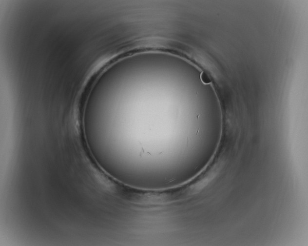 X0000114220981200910161304