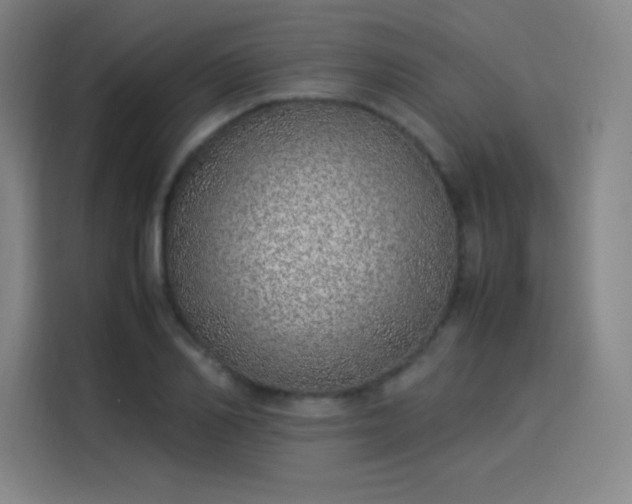 X0000114220982200910161304